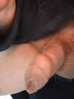 IMG_20250511_073947.jpg