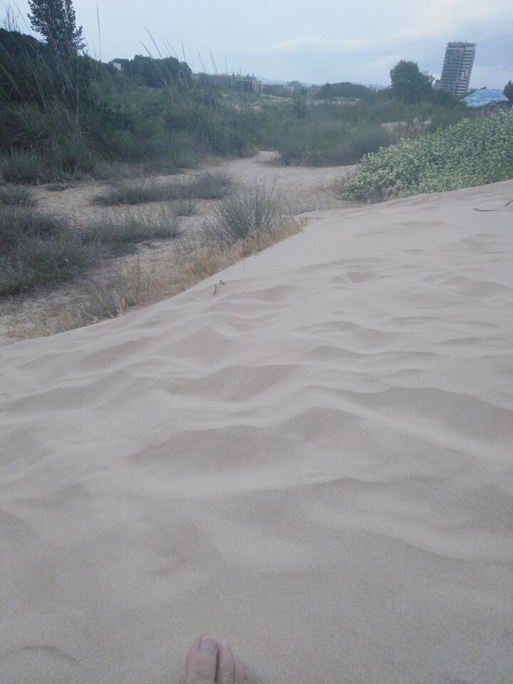 IMG_20220614_171712.jpg - Lulejko84