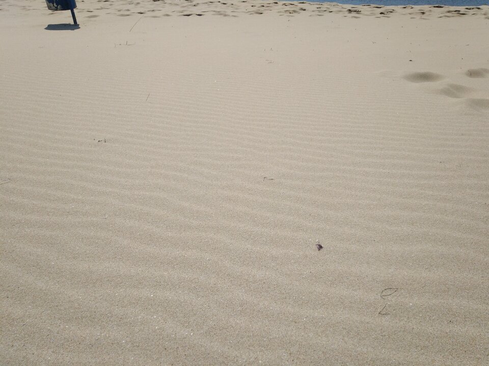 IMG_20220613_093626.jpg - Lulejko84