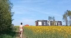 VID_20230505_095707.mp4_snapshot_00.41.675.jpg
