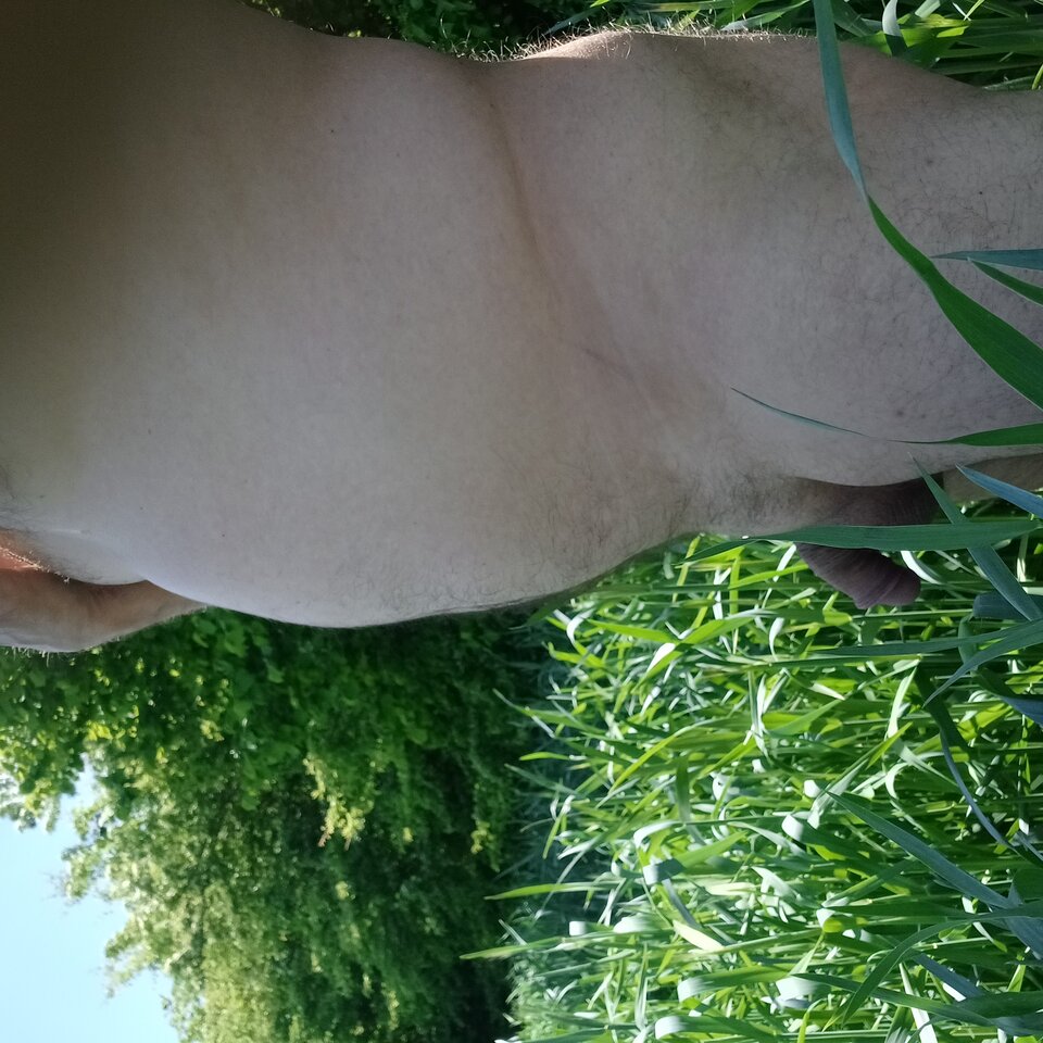 20250511_130531.jpg - Wpja