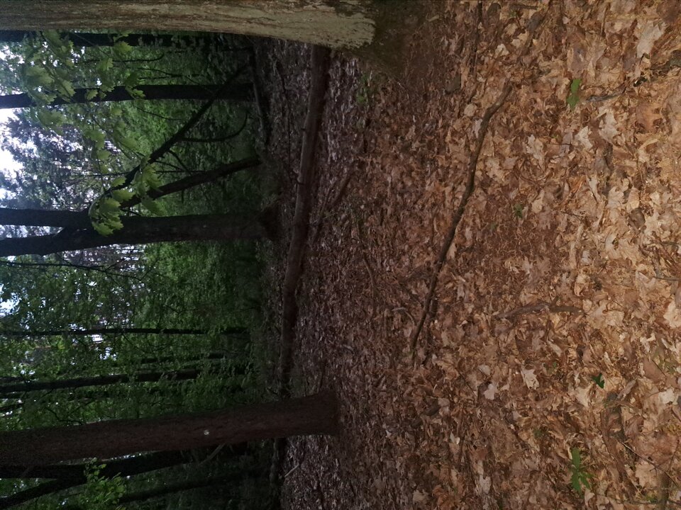 1000072072.jpg - Skiper8