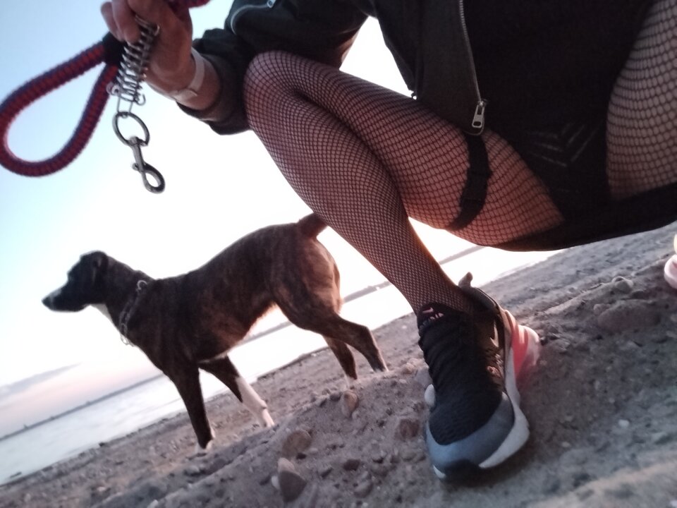 b1b53af3-692b-4458-8122-73aecdb6a832-1_all_43308.jpg - RealnieAtrakcyjniOni