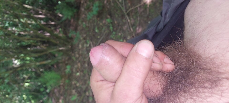 1000002292.jpg - Pmario83