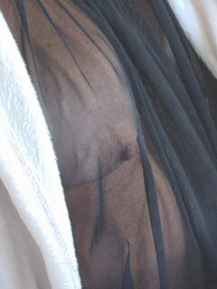 IMG_20250512_143908.jpg