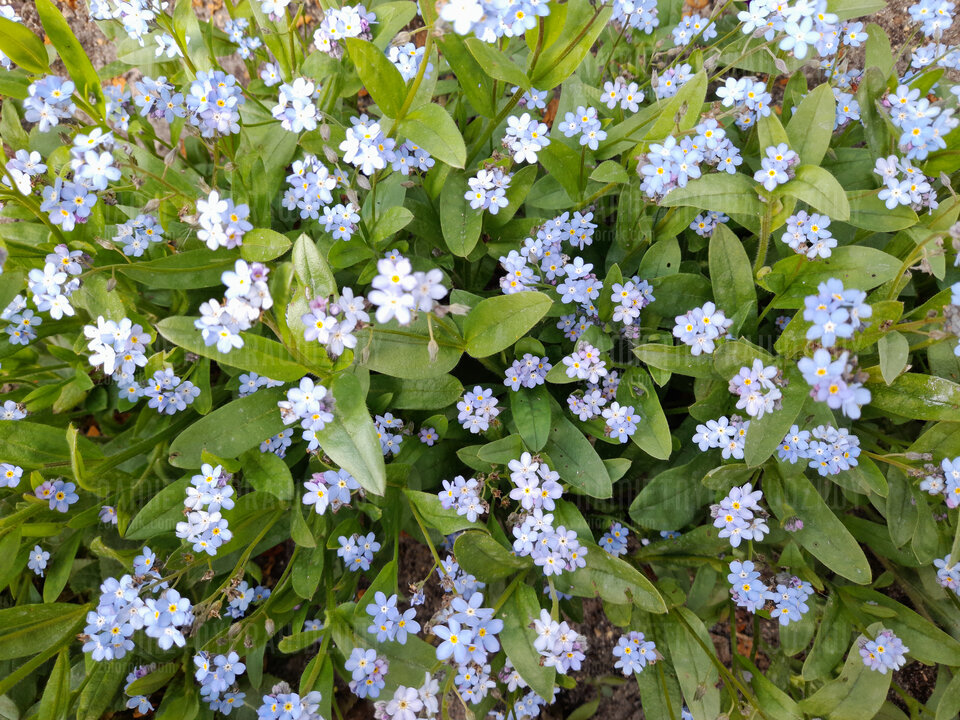 20250512_144320.jpg - NamietnyPrawdziwy