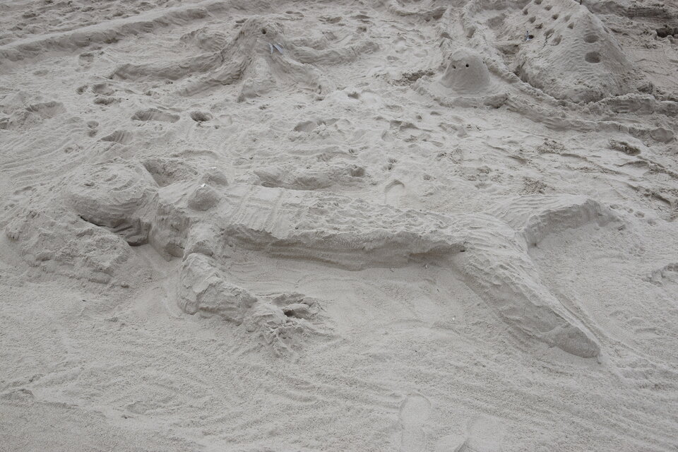 DSC_0002.JPG - leon1188