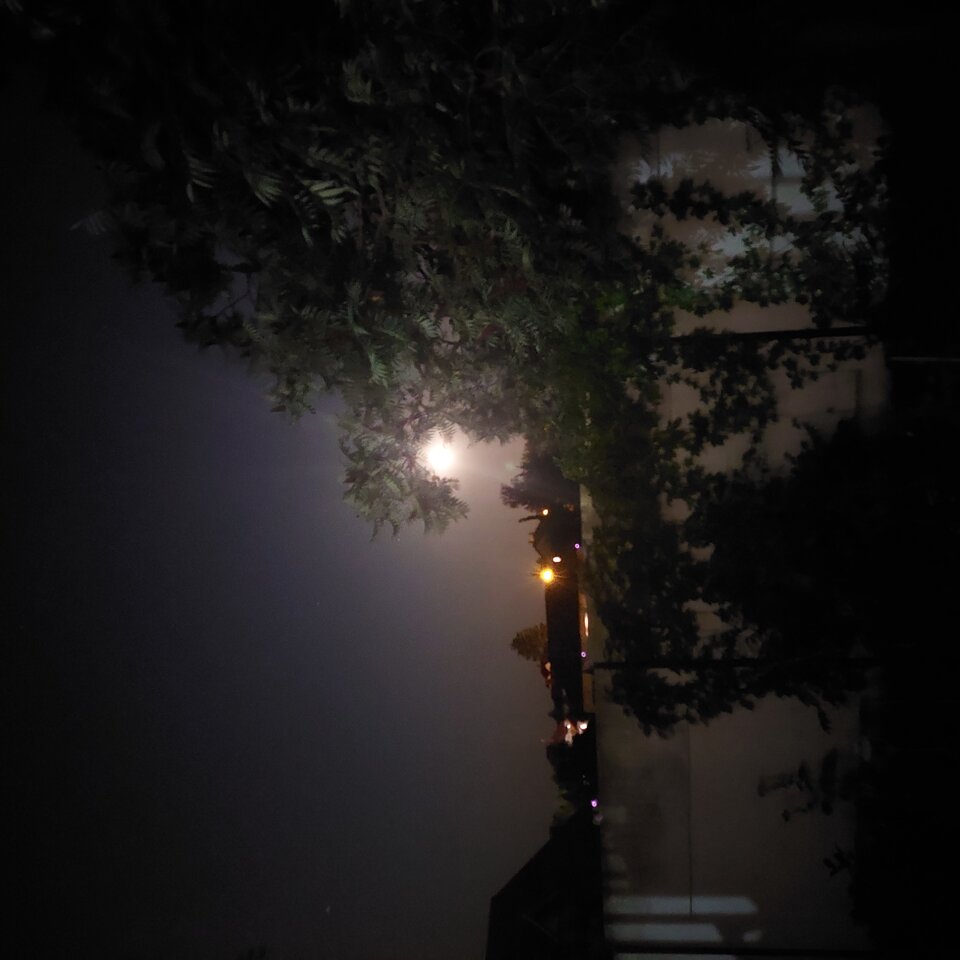 20240719_232449.jpg - Tygrysek57