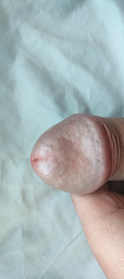 1000033383.jpg - szatan24