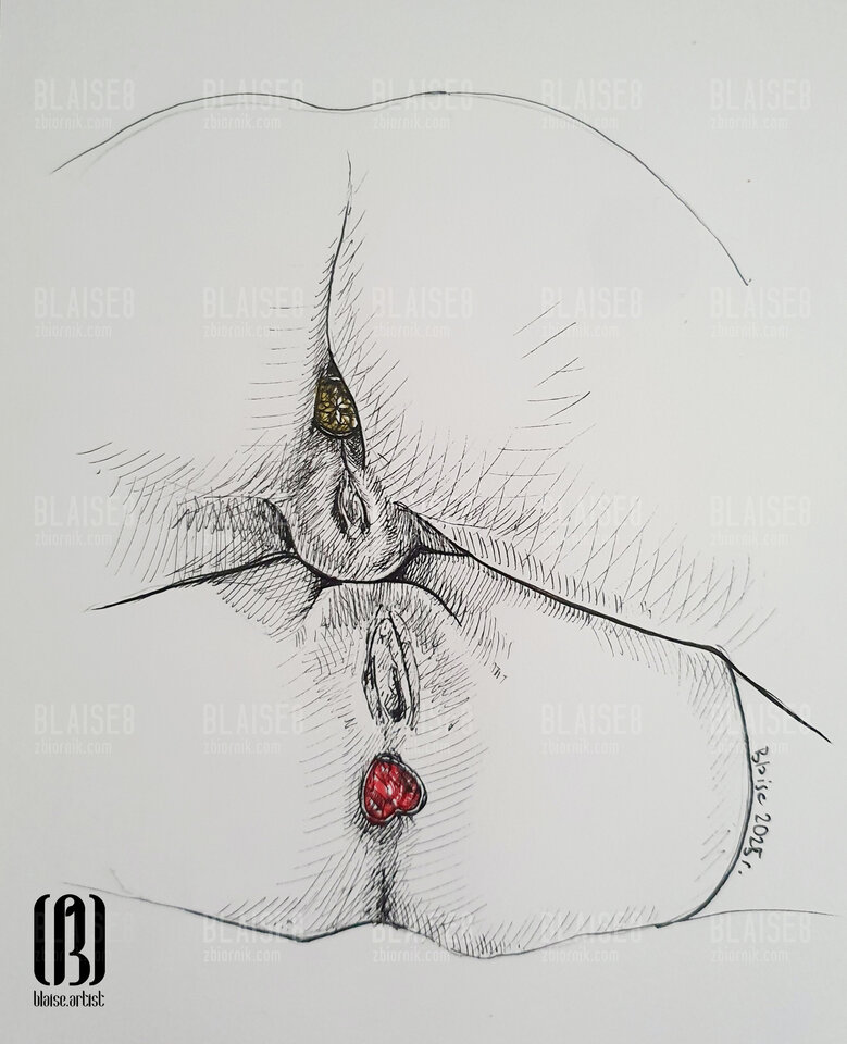 Art. No. 335 - blaise8