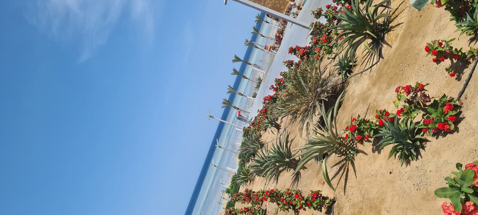 20250512_135157.jpg - Brunecik1991