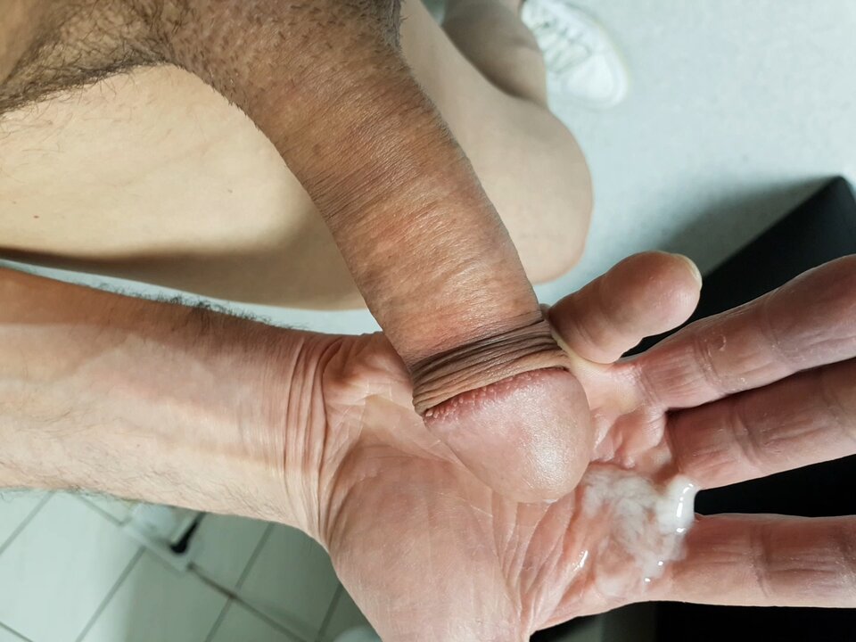 20250511_030736_capture.jpg - Whitelittlecock