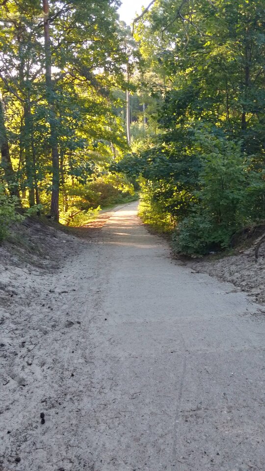 IMG_20230916_075525_HDR.jpg - 65kuba