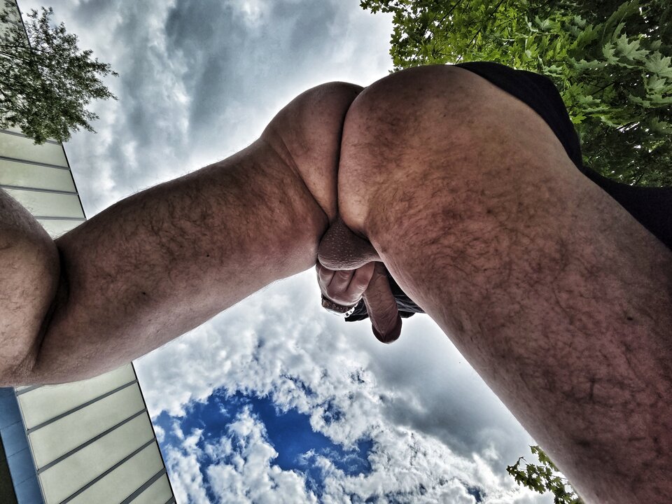 1000003583.jpg - YourSong