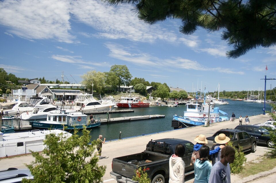 Screenshot 2025-05-13 at 14.16.56.jpeg - Greypervert