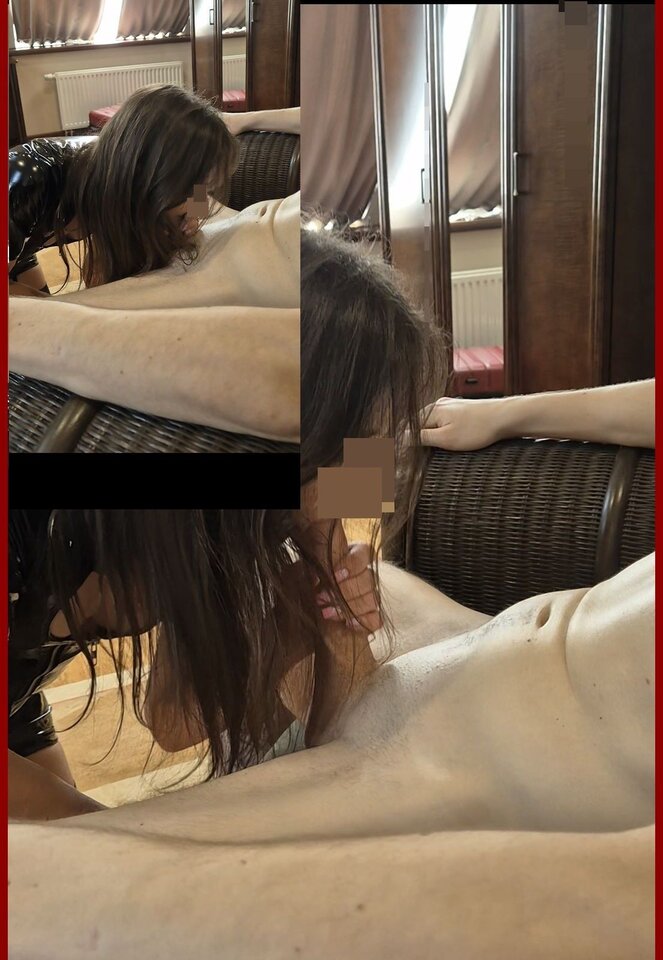 ShyBull_Gallery.jpg - Ubuntu777