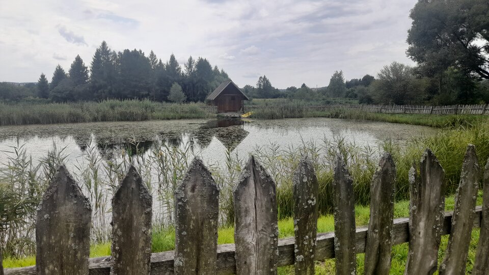 20240808_133754.jpg - Dobranaparka1234