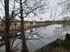 20241124_081621.jpg