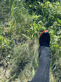 Wczorajszy Dzień Pończoch 🥰