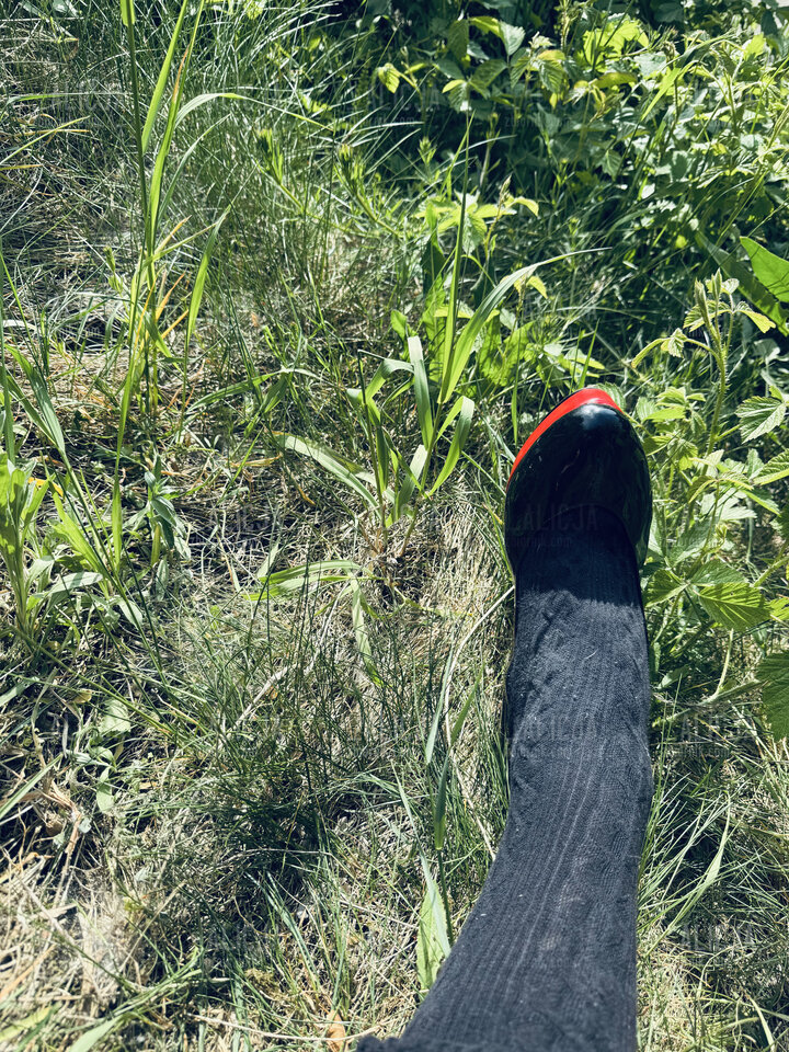 Wczorajszy Dzień Pończoch 🥰 - _Alicja