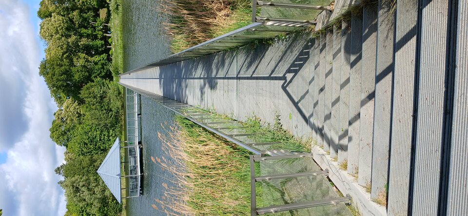 1000011352.jpg - Spontaniczny0585