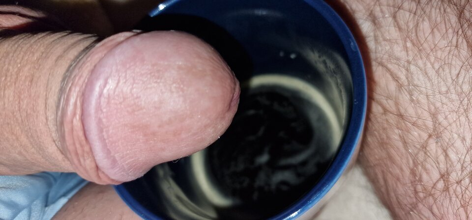 17473643694995243358399709140315.jpg - robin266