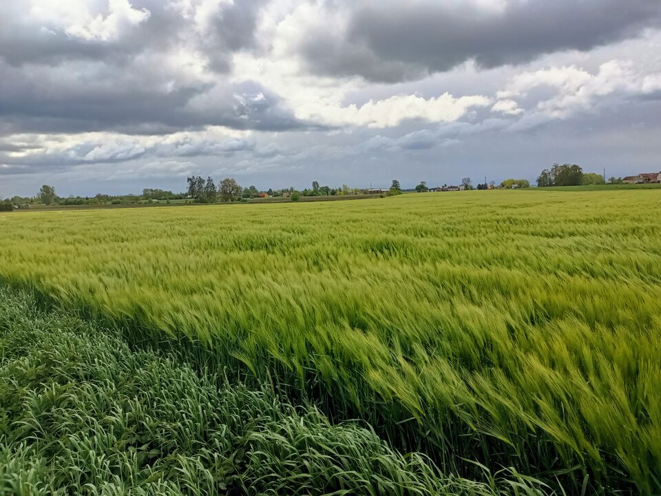 IMG20250516115313.jpg - hypns