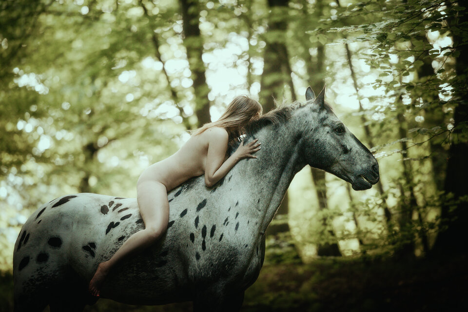 1000018578.jpg - JacPal