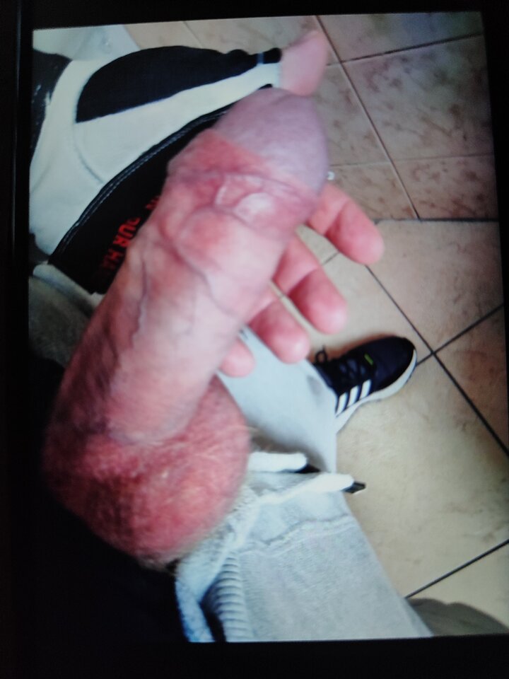 17474163351107357640474669769419.jpg - Lenio81