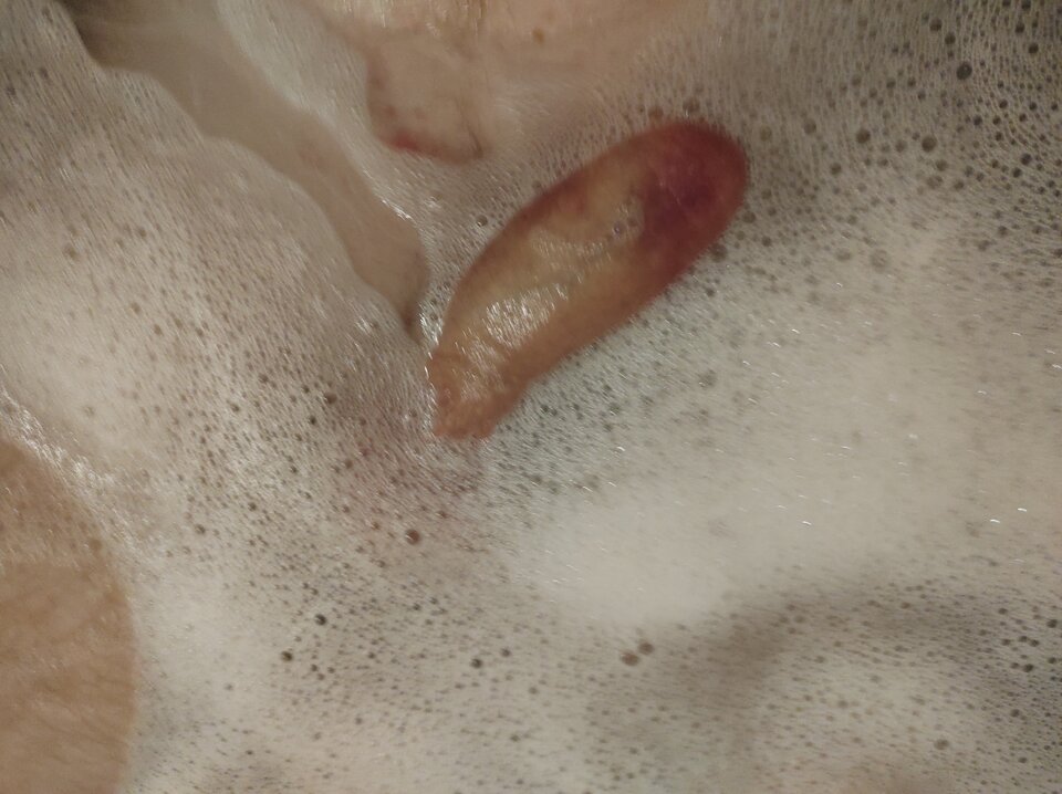 17474244382275461283326440026687.jpg - roligoo