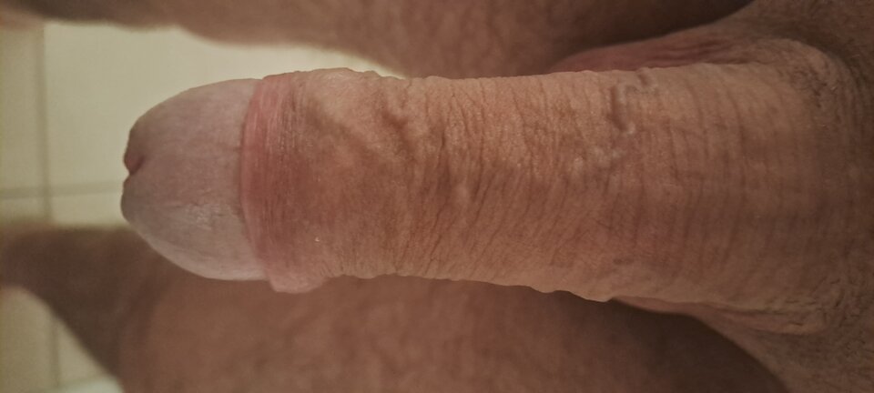 1000021540.jpg - bobileo76