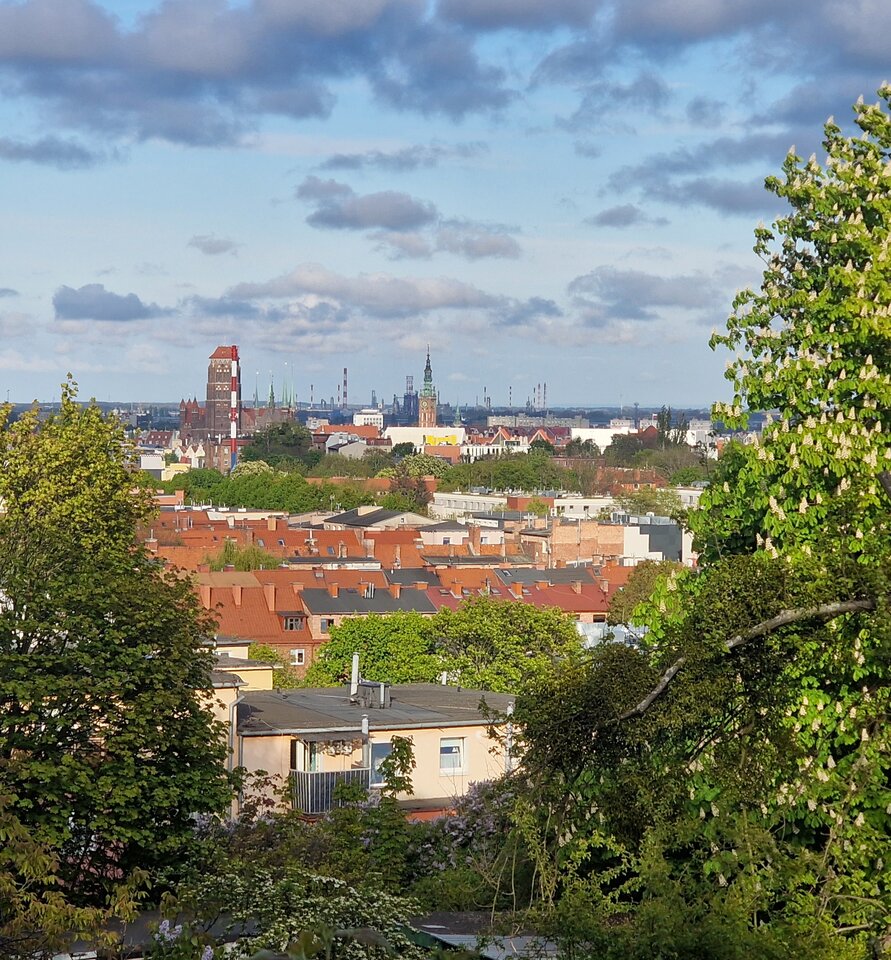 1000033690.jpg - XXXrentier