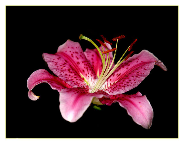 9070m.jpg - e_gostek