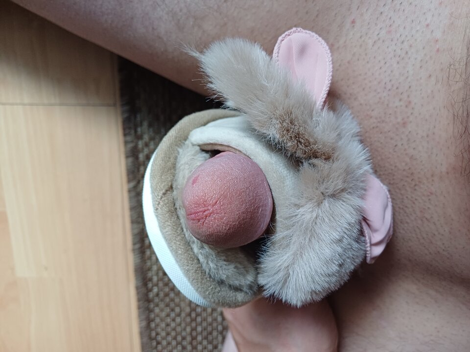 20250517_142523.jpg - fetykapek