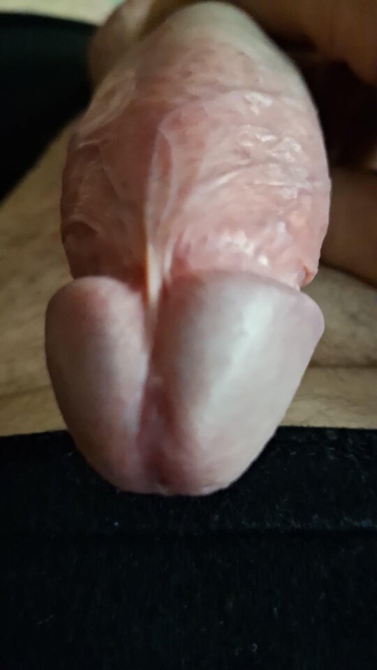 1000006316.jpg - mar_nn40