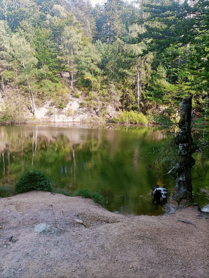 IMG20240908164143.jpg - Fletnia06