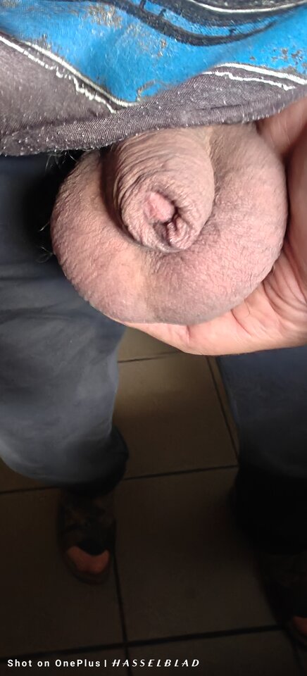 1000014019.jpg - jogan