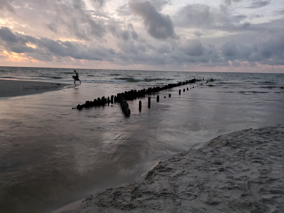 IMG20240724213655.jpg - geniuss15