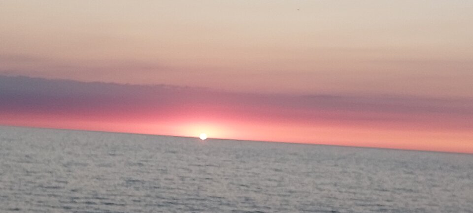 20240711_212901.jpg - lexipl