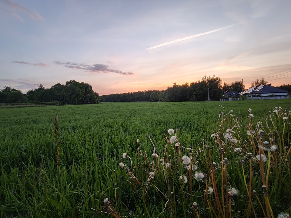 1000003868.jpg - AlfaMimik