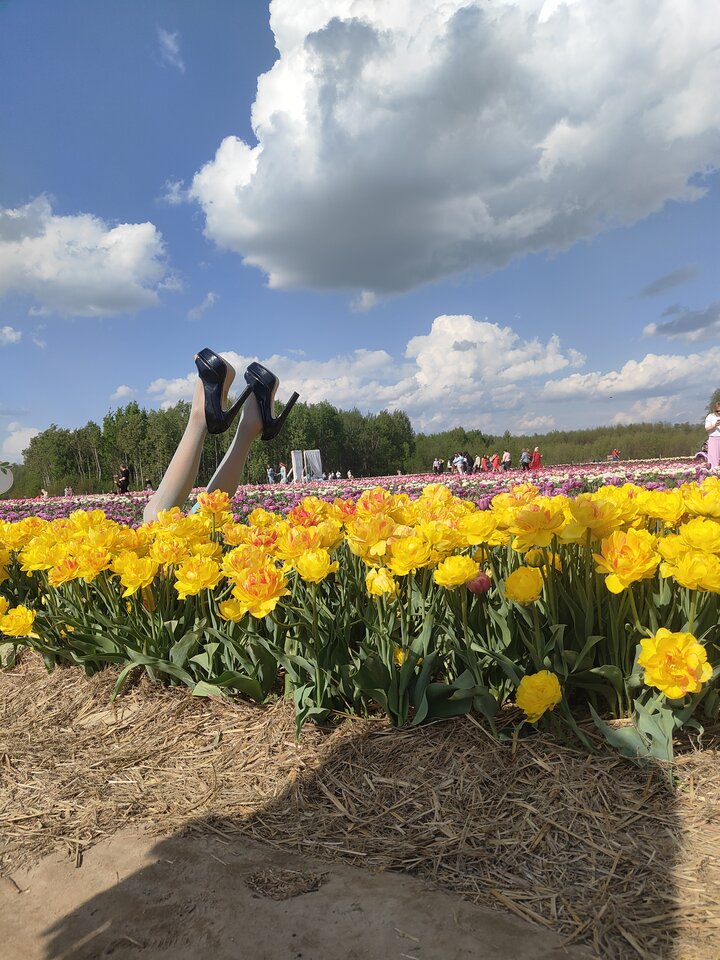 1000009319.jpg - WildRose00