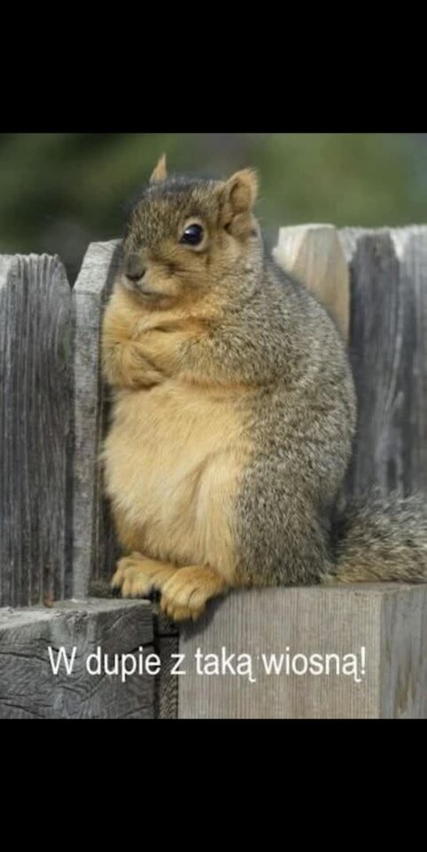 Messenger_creation_9171FB8B-6CF0-40B0-9D00-0BD49D25C44D.jpeg - Naturysta72