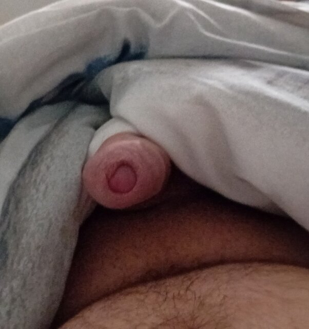 1000007579.jpg - Sams4325