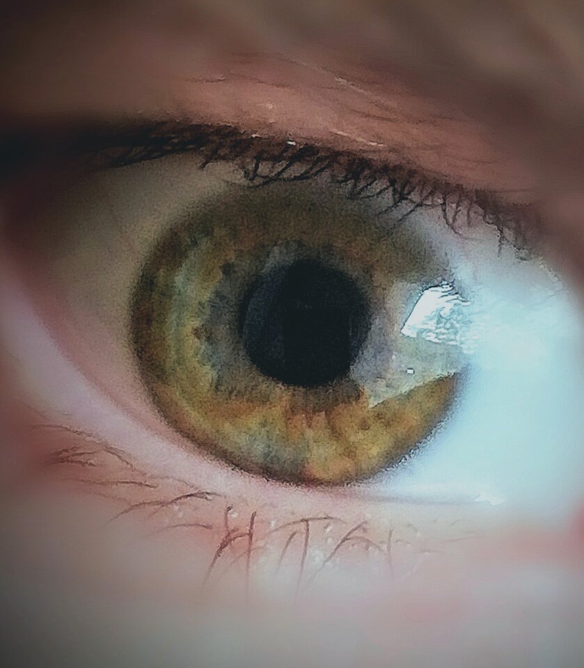 IMG_20250518_155519.jpg - Redemption98