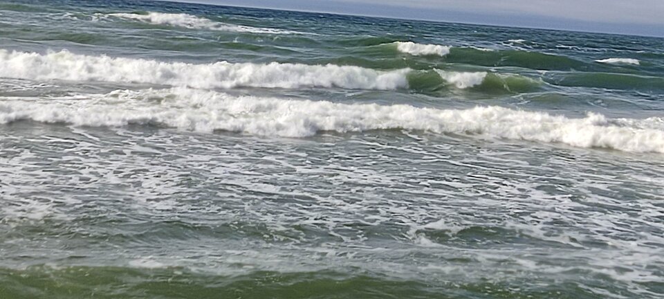 IMG_20250528_171061.jpg - edytkaandrzej