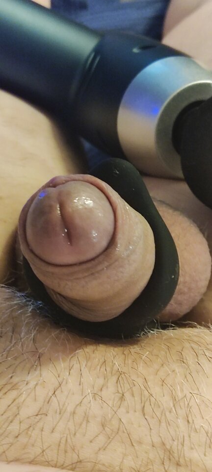 1000082997.jpg - Parasaksonia