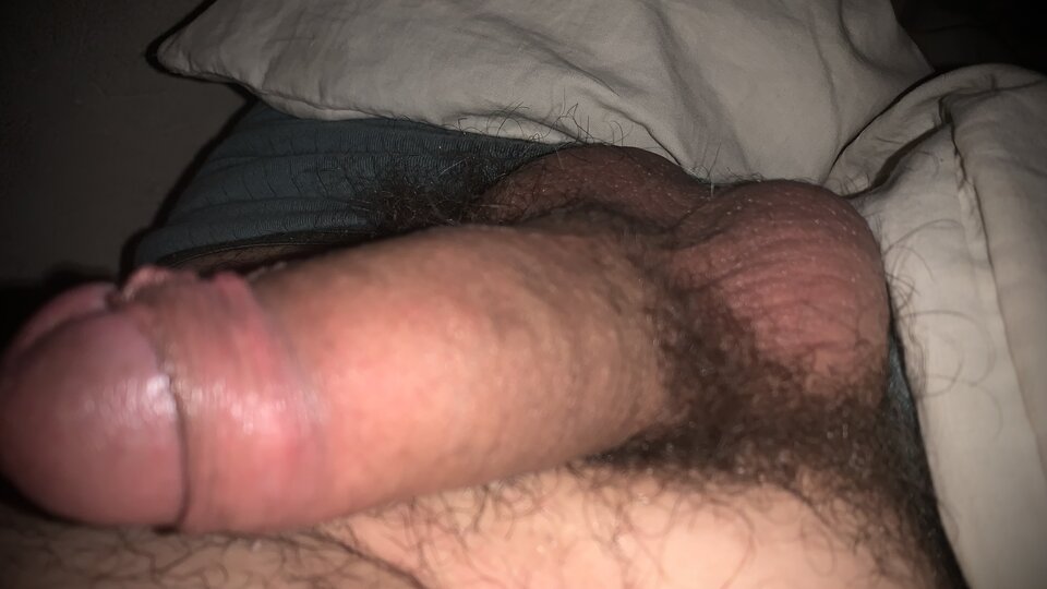 IMG_1874.jpeg - Nomada001