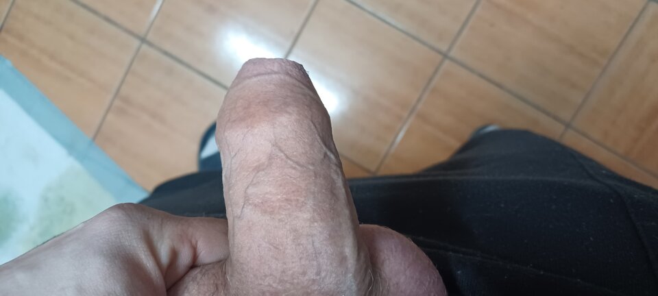 17380848995474303402457595873271.jpg - nygus_2013