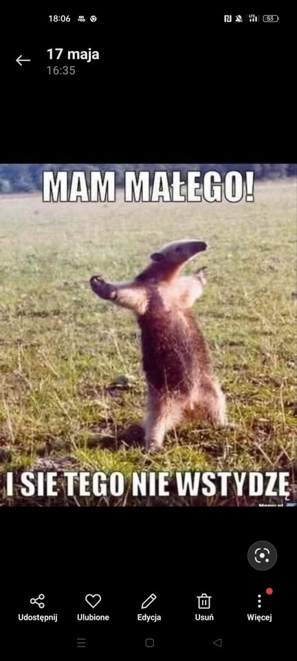 Screenshot_2025-05-19-18-06-12-69_99c04817c0de5652397fc8b56c3b38 - Tomasz_1981_29_