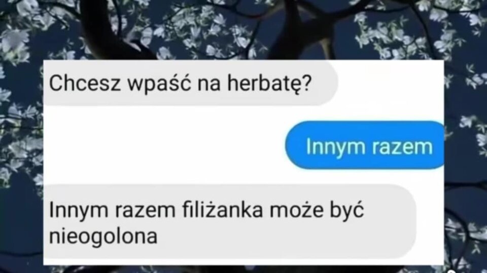 1000008565.jpg - Jestemjakwino78_2